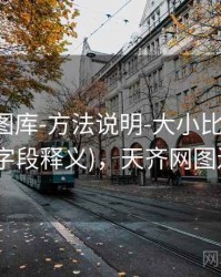 天齐网图库-方法说明-大小比例-查询中心(字段释义)，天齐网图迷总汇