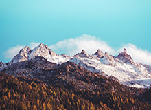 澳彩图库-趋势观察-多时间窗-速查页(附读图提示)，澳彩图彩