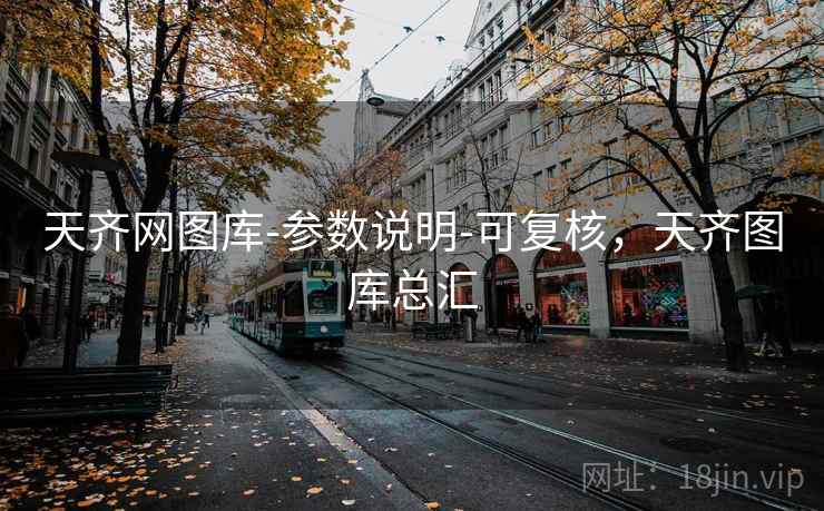 天齐网图库-参数说明-可复核，天齐图库总汇